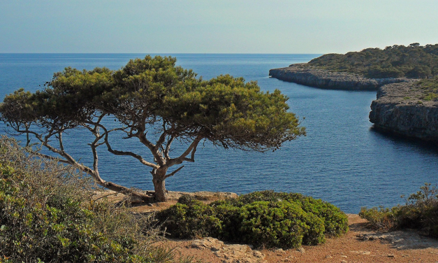 Mallorca auf Platz 1 der „besten Orte der Welt“