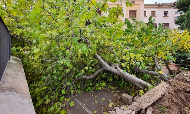 Schwerer Sturm hinterlässt Schäden auf Mallorca