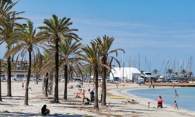 Schreckliche Badeunfälle auf Mallorca häufen sich