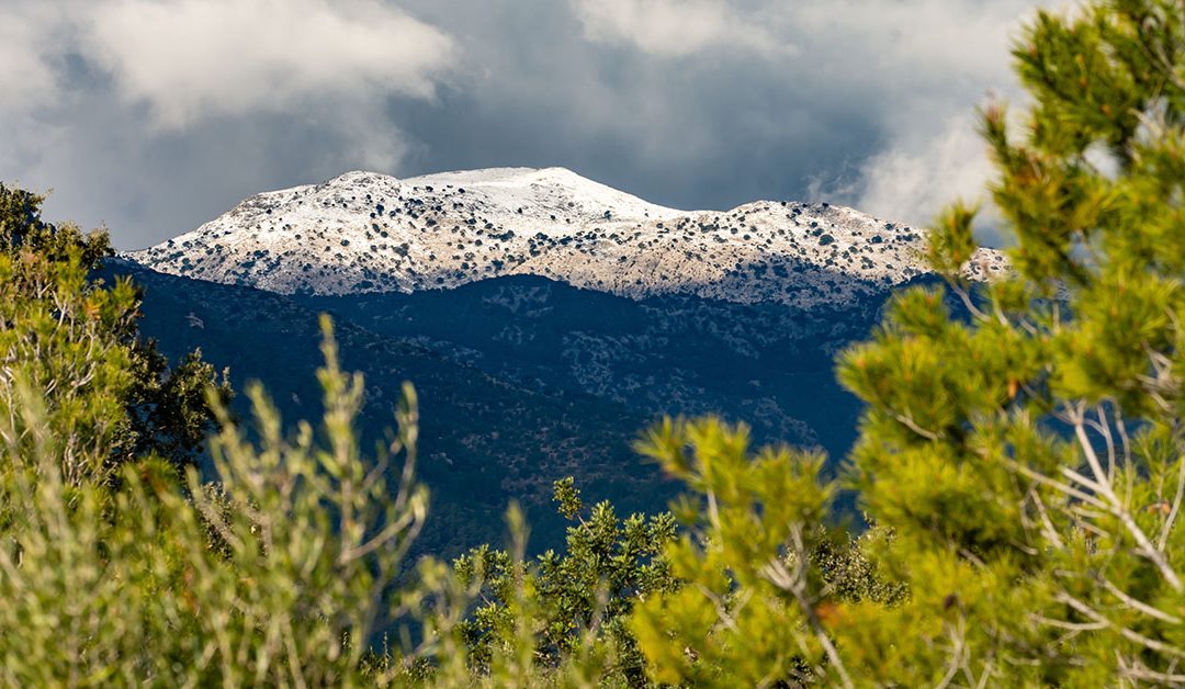 Schnee auf Mallorca – ein Jahr nach Sturmtief Juliette