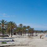 30 Grad – Der Sommer feiert ein Mini-Comeback auf Mallorca