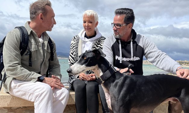 Mallorca im TV: Promi sucht Hundeglück
