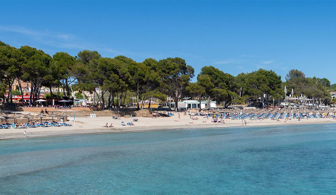 Das Mallorca-Wetter bleibt diese Woche sommerlich