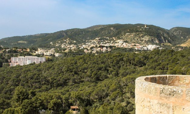Soso: 20 neue Villen auf Mallorca für 40 Sozialwohnungen