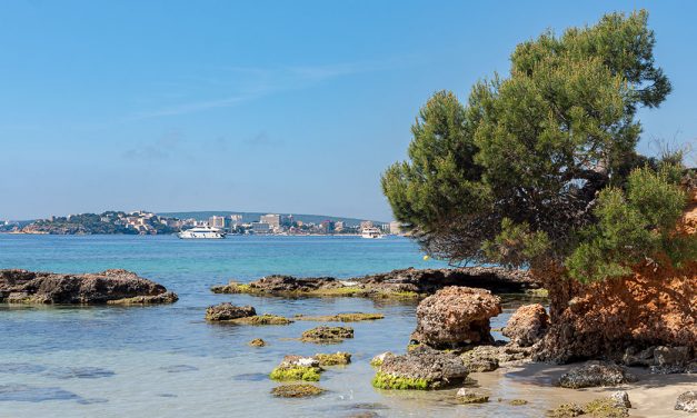 Mallorca Revue 2023 – das erwartet euch