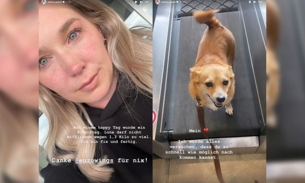 Tamara und Marco Gülpen müssen ihren Hund am Flughafen zurücklassen