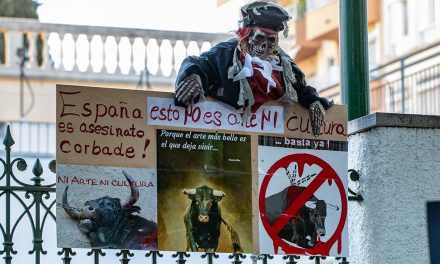 Vox-Partei möchte Palma zur “Stierkampf-Stadt” erklären