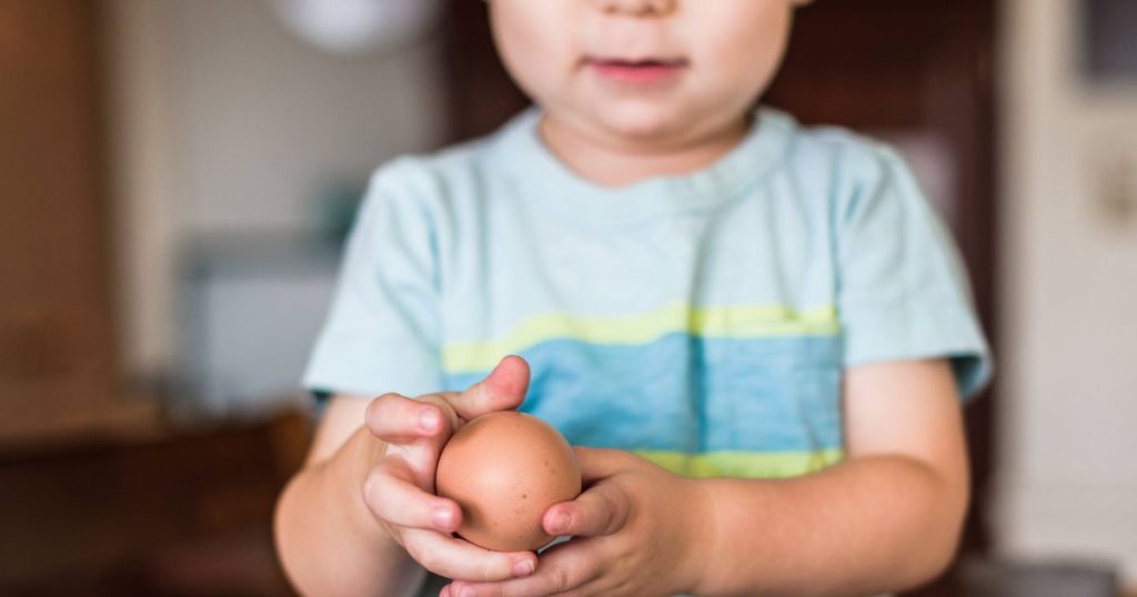 #eggchallenge
        
          Internet-Challenge macht fassungslos: Eltern zerschlagen Eier an den Köpfen ihrer Kinder