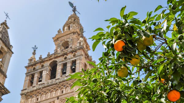 The 23 best things to do in Andalucía