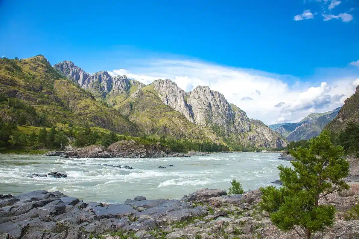 Persoon die ontspant langs een rivier zonder telefoon